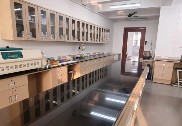 Project Laboratory